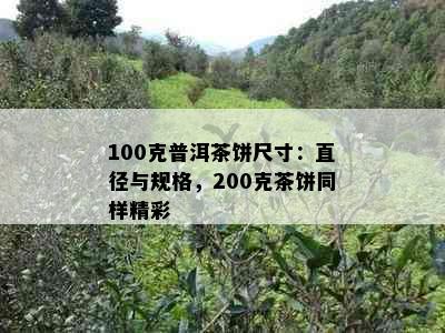 100克普洱茶饼尺寸：直径与规格，200克茶饼同样精彩