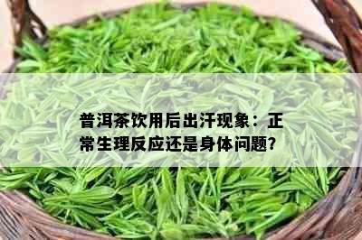 普洱茶饮用后出汗现象：正常生理反应还是身体问题？