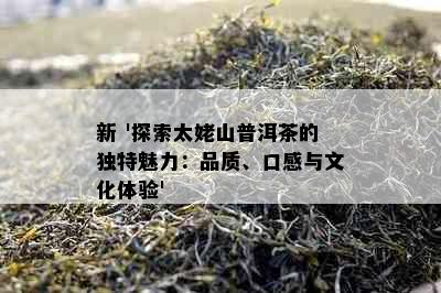 新 '探索太姥山普洱茶的独特魅力：品质、口感与文化体验'