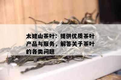 太姥山茶叶：提供优质茶叶产品与服务，解答关于茶叶的各类问题