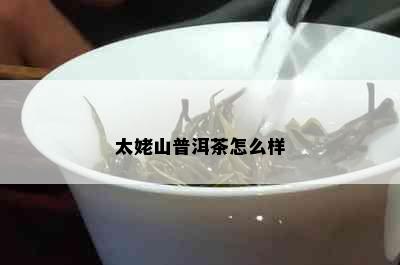 太姥山普洱茶怎么样