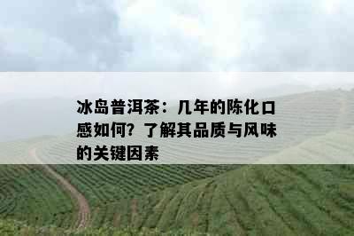 冰岛普洱茶：几年的陈化口感如何？了解其品质与风味的关键因素