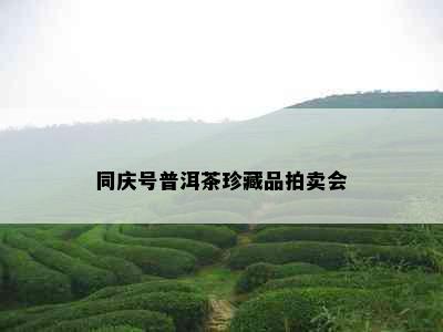 同庆号普洱茶珍藏品拍卖会