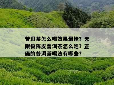 普洱茶怎么喝效果更佳？无限极陈皮普洱茶怎么泡？正确的普洱茶喝法有哪些？