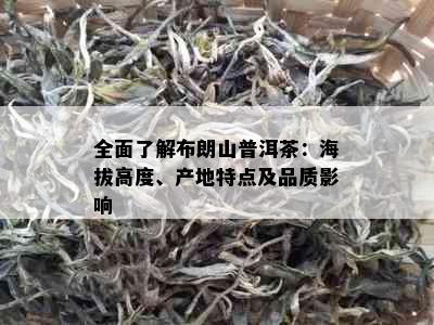 全面了解布朗山普洱茶：海拔高度、产地特点及品质影响