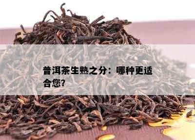 普洱茶生熟之分：哪种更适合您？