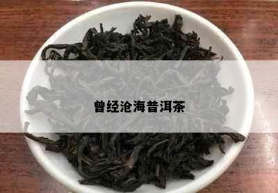 曾经沧海普洱茶