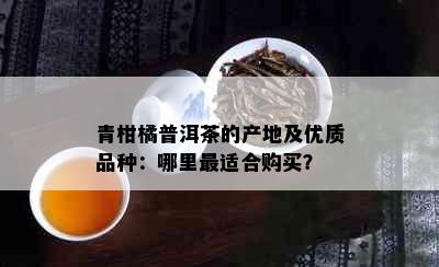 青柑橘普洱茶的产地及优质品种：哪里最适合购买？