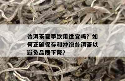 普洱茶夏季饮用适宜吗？如何正确保存和冲泡普洱茶以避免品质下降？