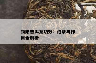 锁阳普洱茶功效：泡茶与作用全解析