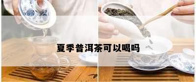 夏季普洱茶可以喝吗