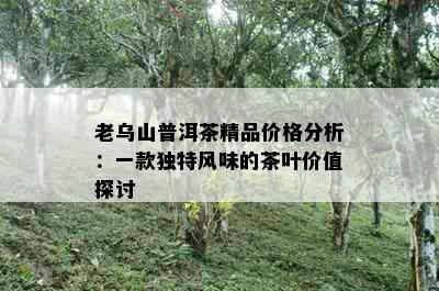 老乌山普洱茶精品价格分析：一款独特风味的茶叶价值探讨