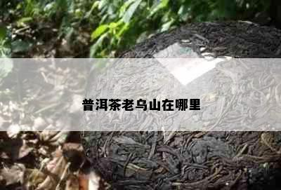 普洱茶老乌山在哪里