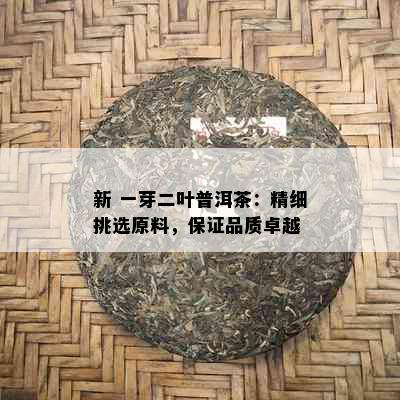 新 一芽二叶普洱茶：精细挑选原料，保证品质卓越