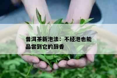 普洱茶新泡法：不经泡也能品尝到它的醇香