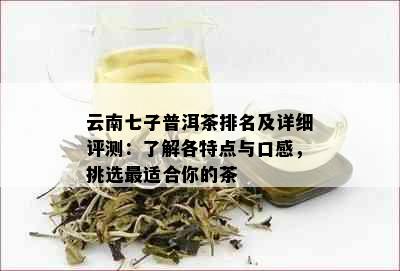 云南七子普洱茶排名及详细评测：了解各特点与口感，挑选最适合你的茶