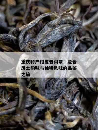 重庆特产柑皮普洱茶：融合风土韵味与独特风味的品鉴之旅