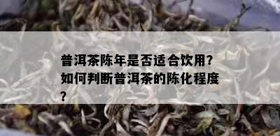 普洱茶陈年是否适合饮用？如何判断普洱茶的陈化程度？