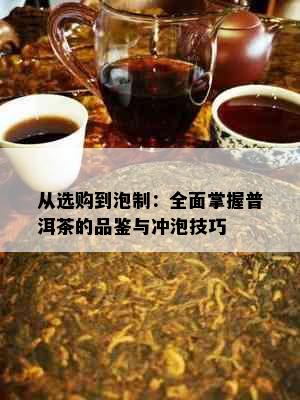 从选购到泡制：全面掌握普洱茶的品鉴与冲泡技巧