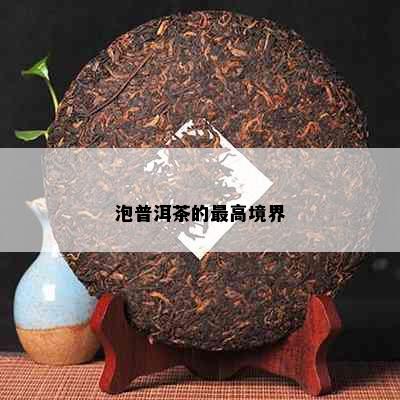 泡普洱茶的更高境界