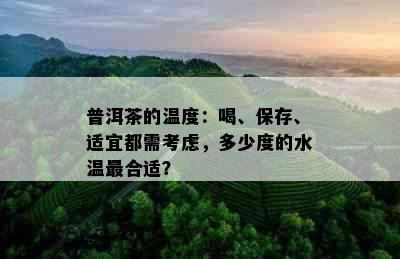 普洱茶的温度：喝、保存、适宜都需考虑，多少度的水温最合适？