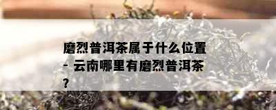 磨烈普洱茶属于什么位置 - 云南哪里有磨烈普洱茶？