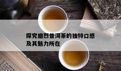 探究磨烈普洱茶的独特口感及其魅力所在