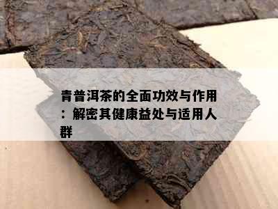 青普洱茶的全面功效与作用：解密其健康益处与适用人群