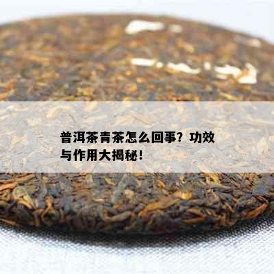 普洱茶青茶怎么回事？功效与作用大揭秘！