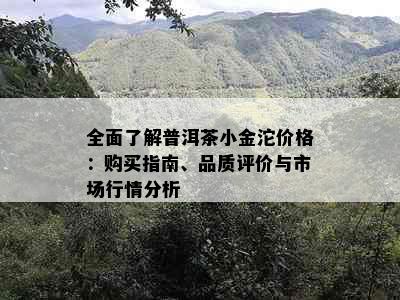 全面了解普洱茶小金沱价格：购买指南、品质评价与市场行情分析