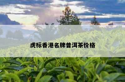 虎标名牌普洱茶价格