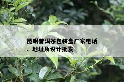 昆明普洱茶包装盒厂家电话、地址及设计批发