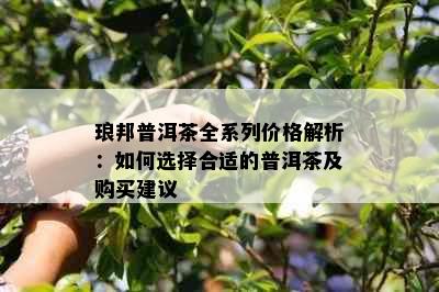 琅邦普洱茶全系列价格解析：如何选择合适的普洱茶及购买建议