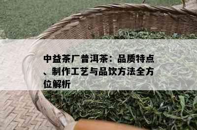 中益茶厂普洱茶：品质特点、制作工艺与品饮方法全方位解析