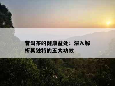 普洱茶的健康益处：深入解析其独特的五大功效