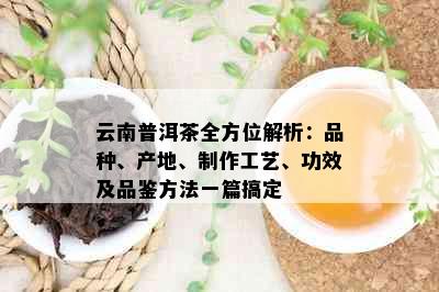 云南普洱茶全方位解析：品种、产地、制作工艺、功效及品鉴方法一篇搞定