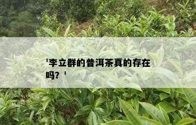 '李立群的普洱茶真的存在吗？'