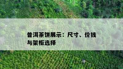 普洱茶饼展示：尺寸、价钱与架柜选择