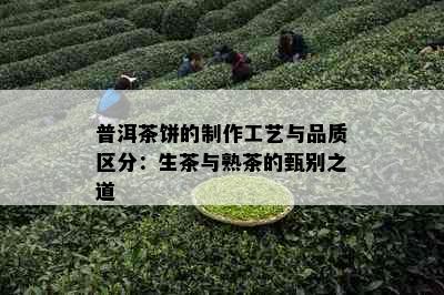 普洱茶饼的制作工艺与品质区分：生茶与熟茶的甄别之道