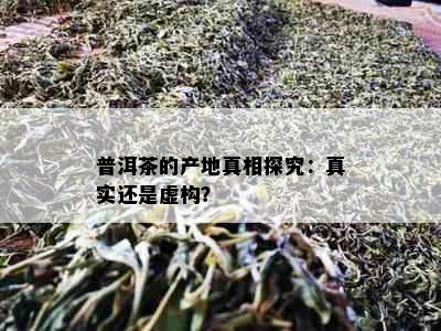 普洱茶的产地真相探究：真实还是虚构？