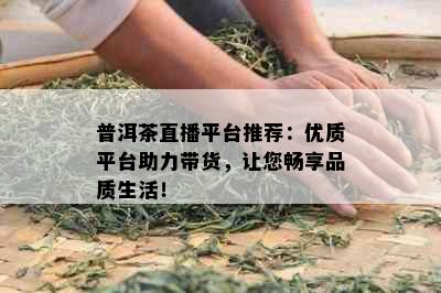 普洱茶直播平台推荐：优质平台助力带货，让您畅享品质生活！