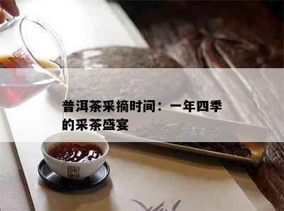 普洱茶采摘时间：一年四季的采茶盛宴