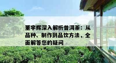 董宇辉深入解析普洱茶：从品种、制作到品饮方法，全面解答您的疑问