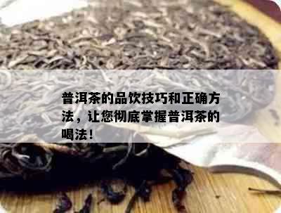 普洱茶的品饮技巧和正确方法，让您彻底掌握普洱茶的喝法！