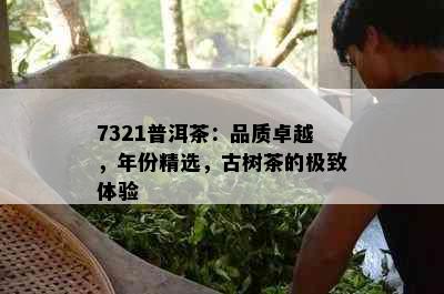 7321普洱茶：品质卓越，年份精选，古树茶的极致体验