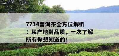 7734普洱茶全方位解析：从产地到品质，一次了解所有你想知道的！