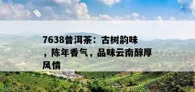 7638普洱茶：古树韵味，陈年香气，品味云南醇厚风情