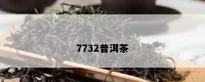 7732普洱茶