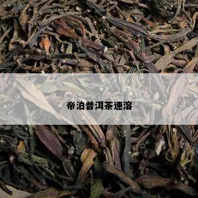 帝泊普洱茶速溶