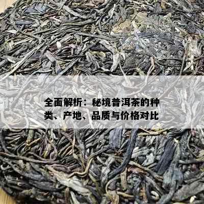 全面解析：秘境普洱茶的种类、产地、品质与价格对比